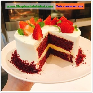 Bánh Sinh Nhật Tiramisu - T259